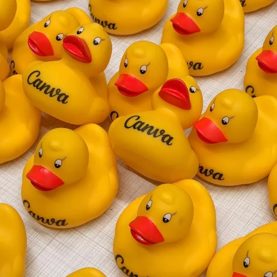 ברווזי גומי צהובים עם הדפסת לוגו Canva שהפקנו לאירוע החברה