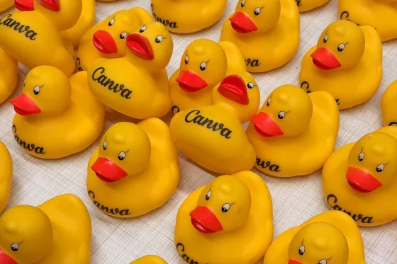ברווזי גומי צהובים עם הדפסת לוגו Canva שהפקנו לאירוע החברה
